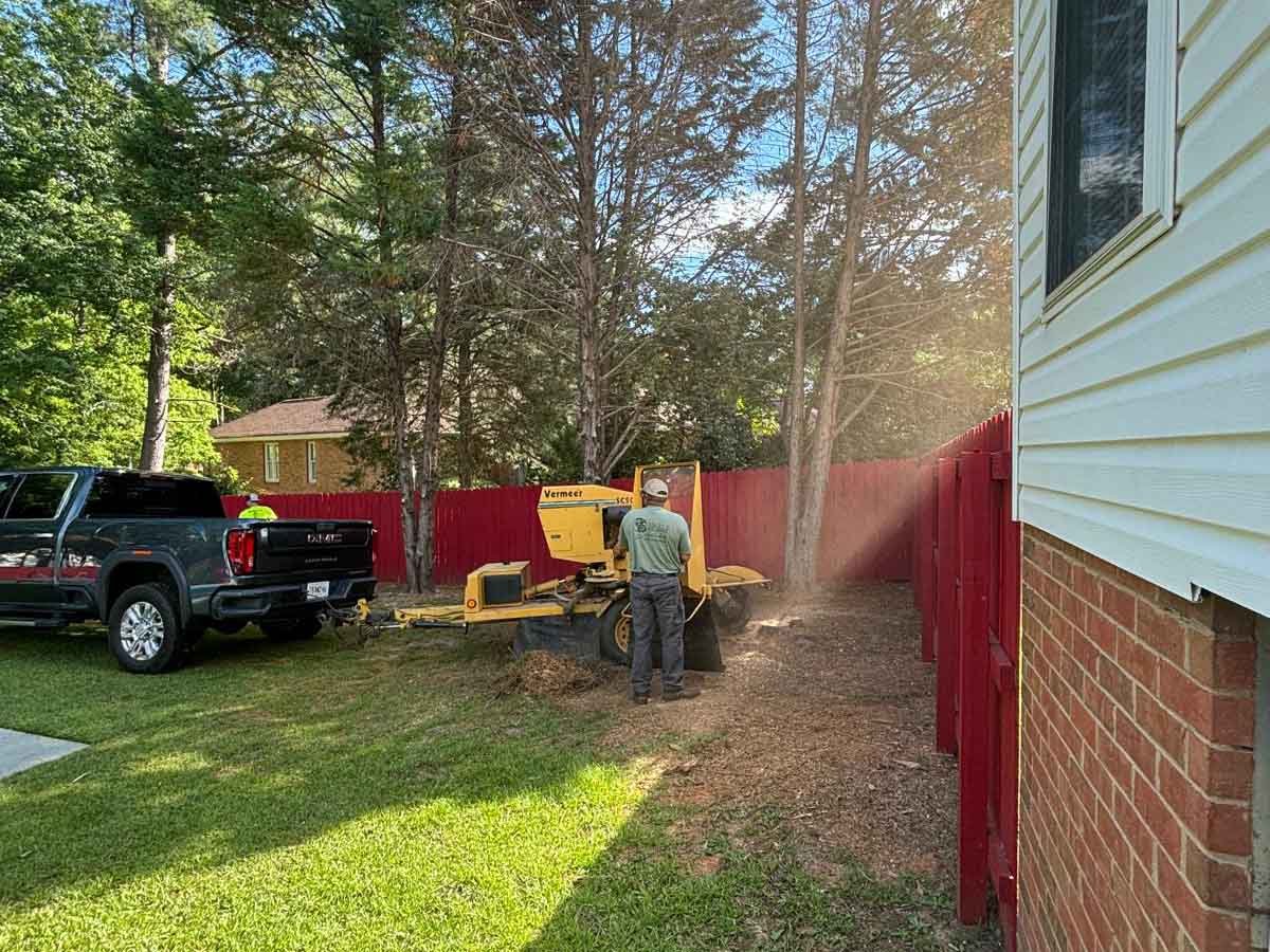 El Costeño Tree Service LLC